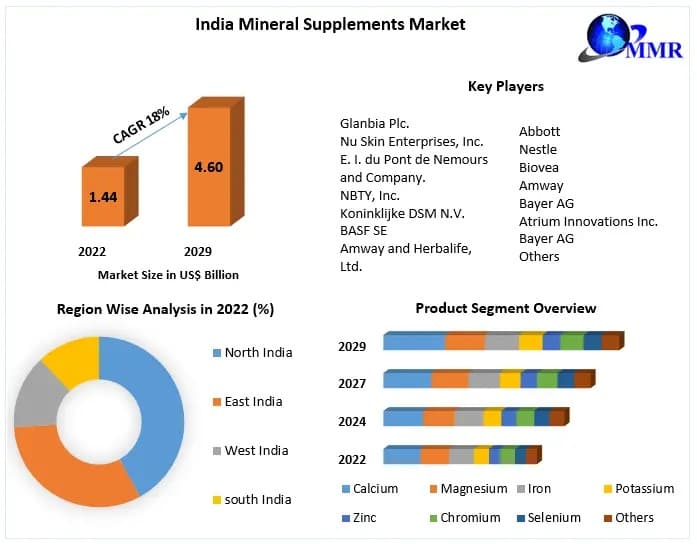 India Mineral Supplements Market Demand 