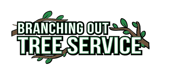 Tree Cutting & Trimming Ronkonkoma