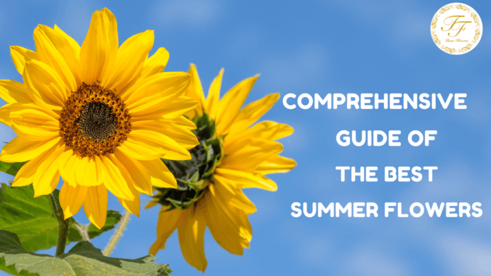 A COMPREHENSIVE GUIDE OF THE BEST SUMMER FLOWERS