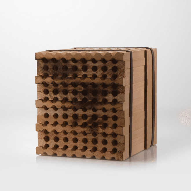 Mason Bees in an Orchard Setup