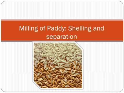 Modern Rice Milling Process Steps & Paddy Rice Milling Systems Flowchart
