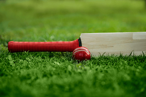 Enjoying Cricket More: Meet the Cricket ID Maker