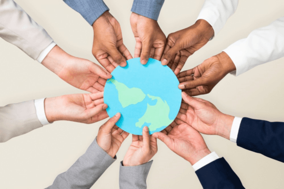 Maison Solution:  Non-Governmental Organizations in Dubai