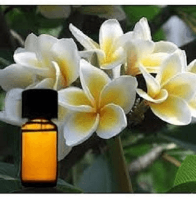 A Guide to Buying Indian Attar Online: Tips for Finding the Best