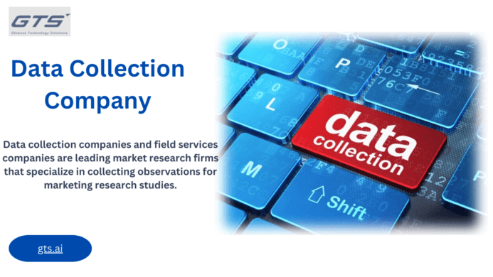 The Role of a Data Collection Company in Modern Business Strategies