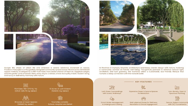 ATS Province D Olympia Profitable Investment 