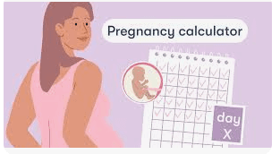 pregnency due date calculator