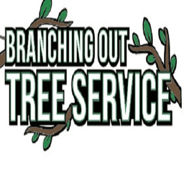 Tree Service & Removal Long Beach