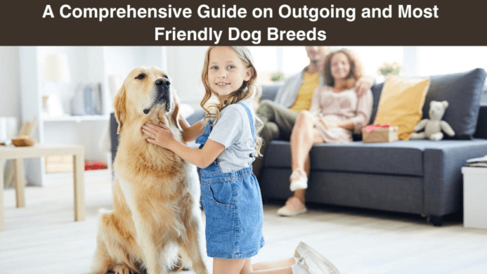 A Comprehensive Guide on Outgoing and Most Friendly Dog Breeds