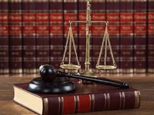 Magna Legal Services