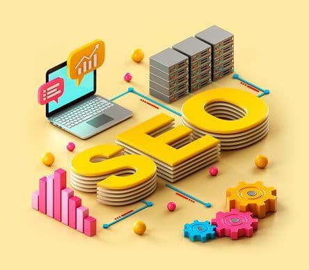 SEO Services in Punjab