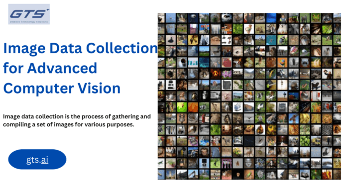 Harnessing the Power of Image Datasets: A Deep Dive into Data Collection Companies' Role in Modern 