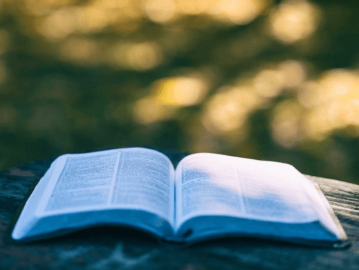 Excel in Legal Studies with Expert Law Assignment Help