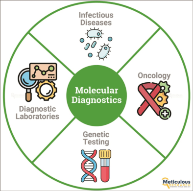 Europe Molecular Diagnostics Market Primed to Surpass $13.25 Billion by 2030: Exclusive Report by Me