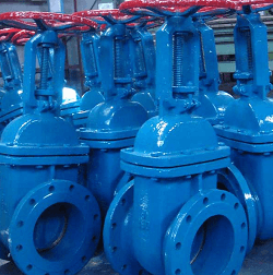 Rising Stem Gate Valve Manufacturer in USA