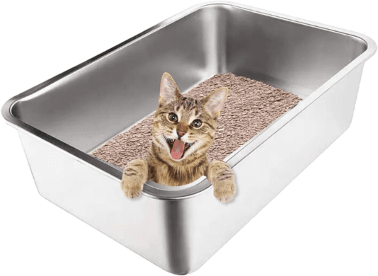 cat litter