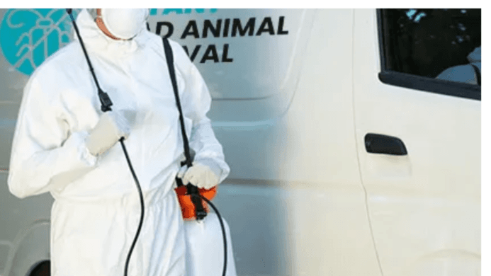 Pest Control Hoppers Crossing | pestblockers
