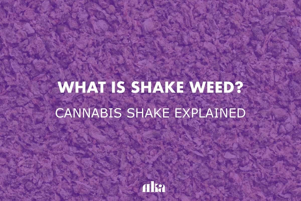 Discover the Hidden Value in Shake Weed