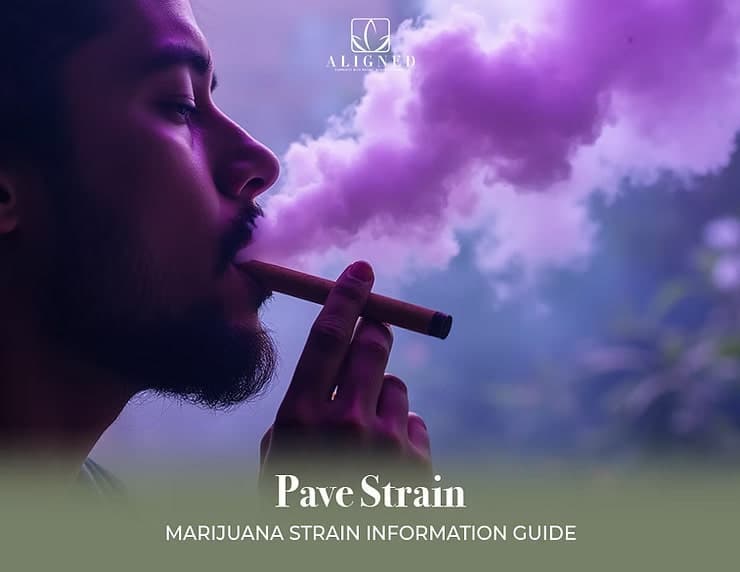 Pave Strain: Marijuana Strain Information Guide