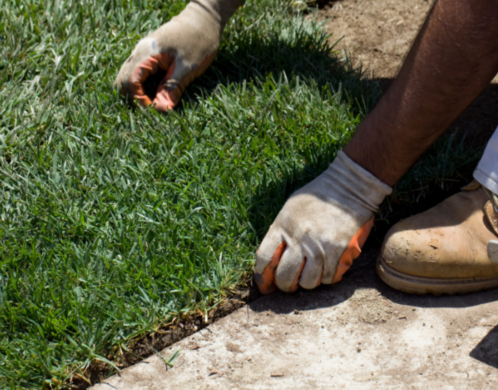 Save Time and Effort: Why Professional Sod Installation is the Right Choice for Orlando Homeowners