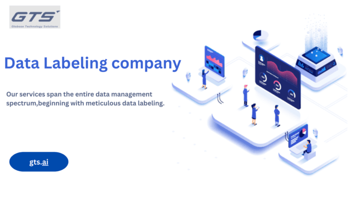 Enhancing Machine Learning Models with the Crucial Role of a Data Labeling Company
