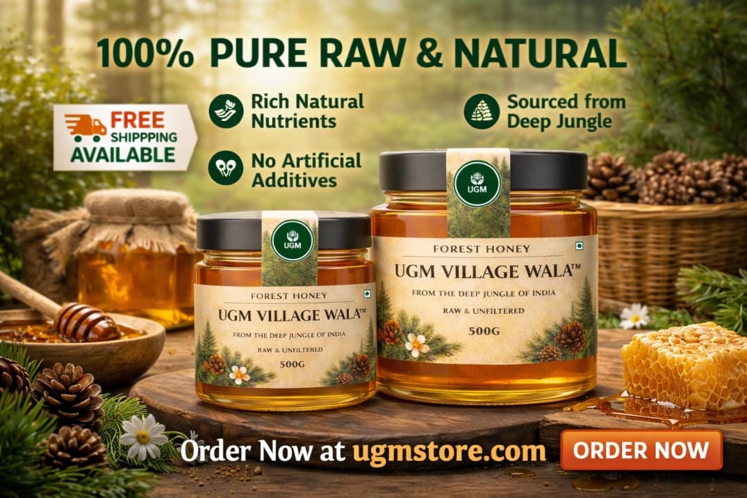 Raw Forest Honey Online Pure Natural Honey