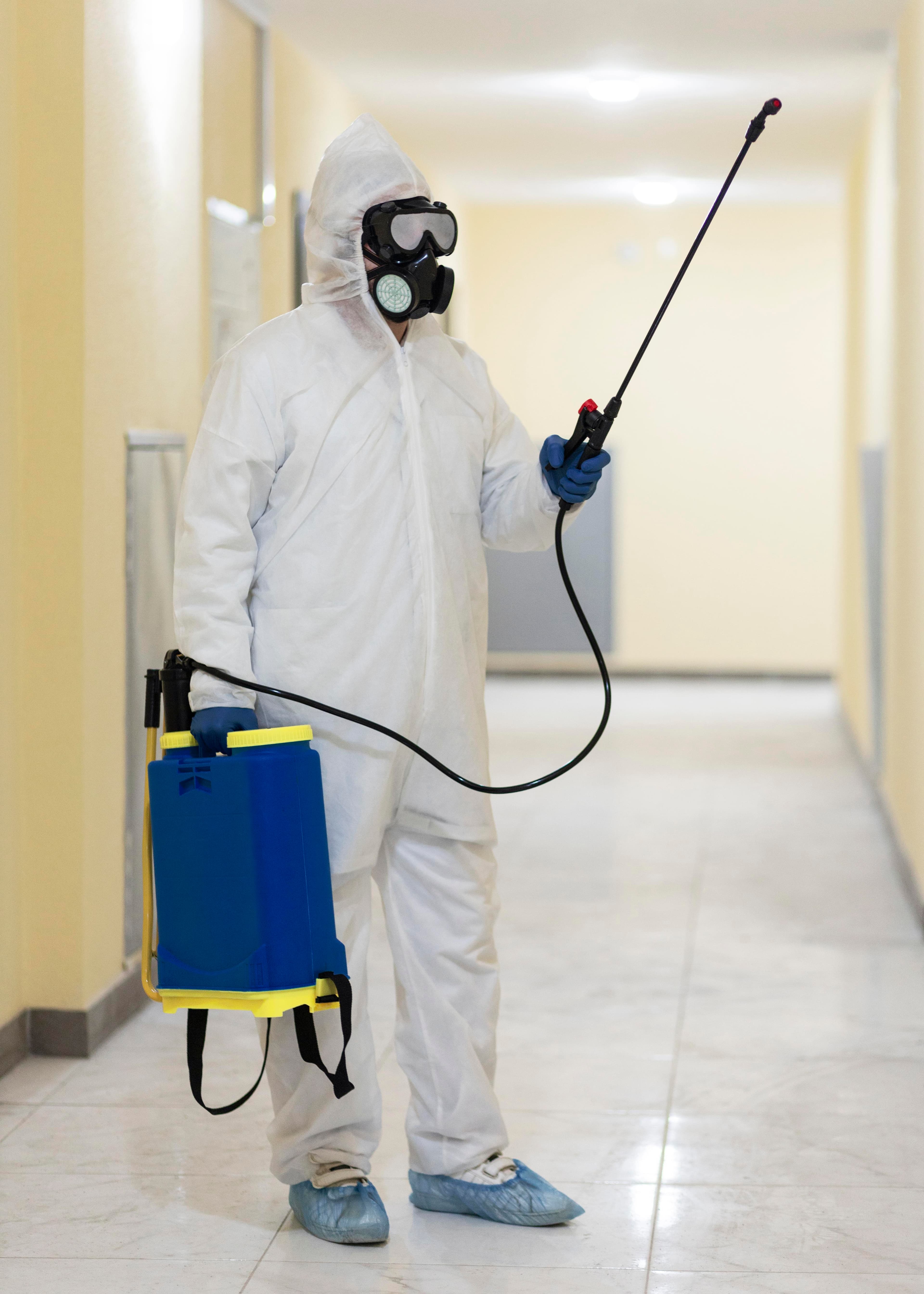 Reliable Pest Control Company in Las Vegas for Protection