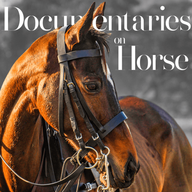 Horses Documentries