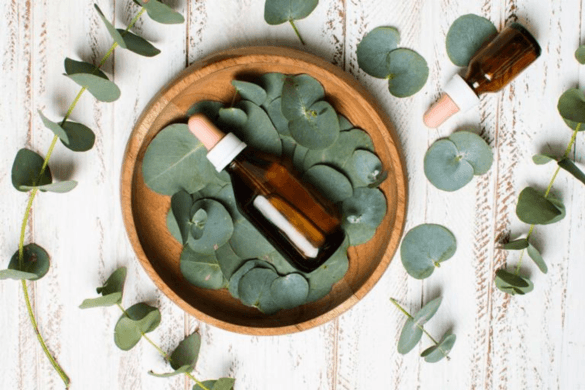 5 Essential Oils That Can Be Used For Cleaning Purposes