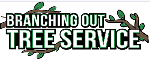 Tree Service Oceanside