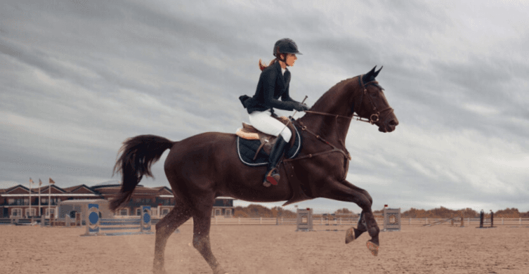 Horse Menage Installation LTD