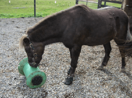 The Extreme Direct to Horse Foot Boots for Riding: Secure and Upgrade Your Ride