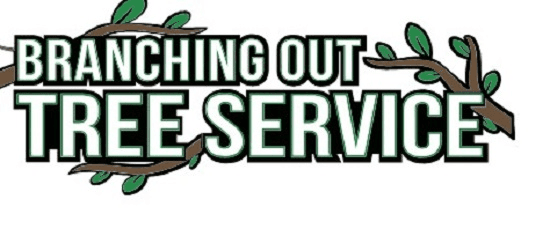 Tree Cutting & Trimming Islip