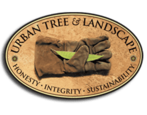 Tree Care Minneapolis