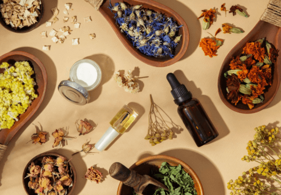 Nature’s Remedies for Various Ailments