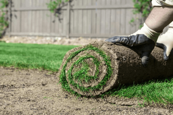 Sod Installation Los Angeles | Robert Complete Care