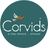 Kitchen Ladder from Corvids India: Practical and Stylish Access Solution