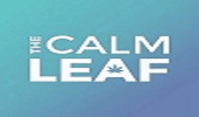 The Calm Leaf