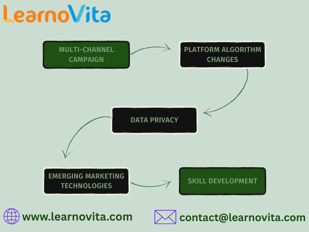 Digital Marketing Evolution