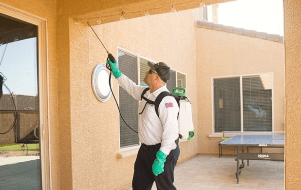 The Ultimate Guide to Pest Control in Sacramento: Tips and Tricks for Effective Management