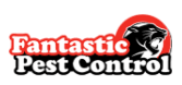 Pest Control Tunbridge-Wells