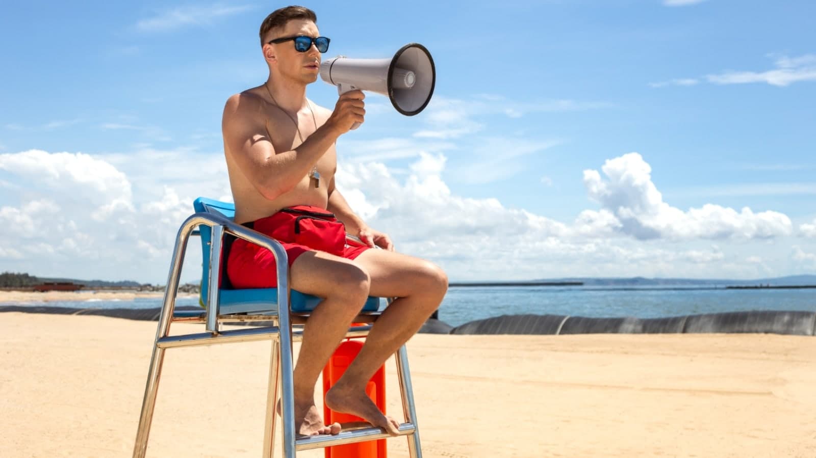 American Lifeguard Association
