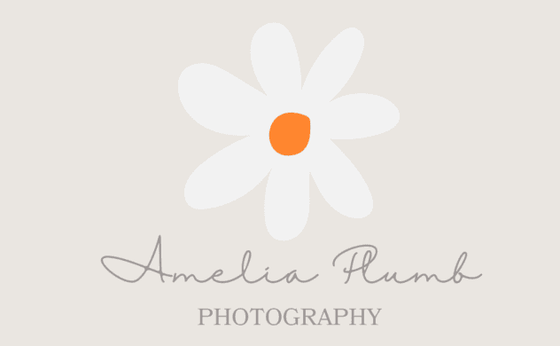 Capturing Moments: Amelia Plumb Photography in the Bay Area