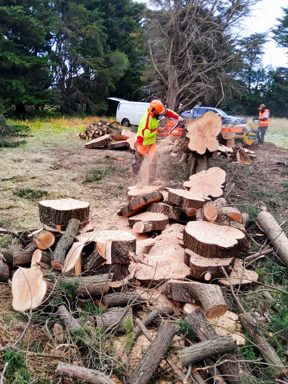 Tree Removal in Hoppers Crossing