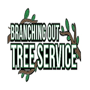 Tree Cutting & Trimming Hicksville