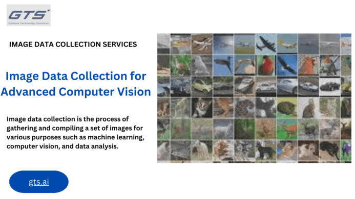 Unlocking Insights: The Power of Image Datasets in AI