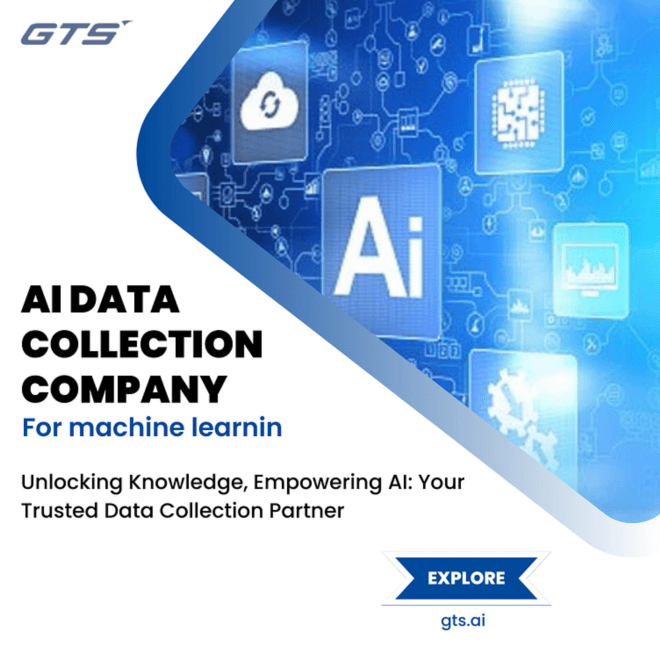 The Role of a Data Collection Company in Modern Business Strategies