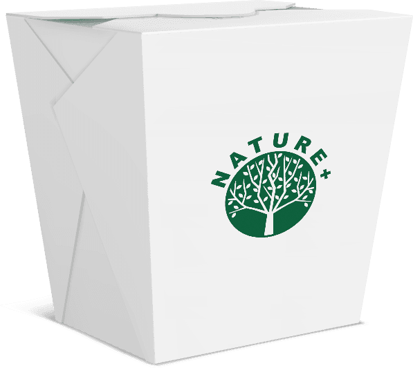 Eco Friendly Food Containers Guide to Sustainable Packaging