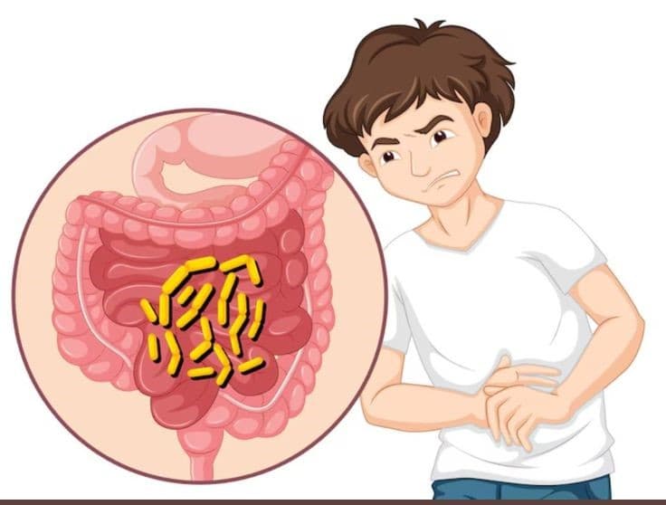 Modern Understanding of Parasitic Infection Treatment