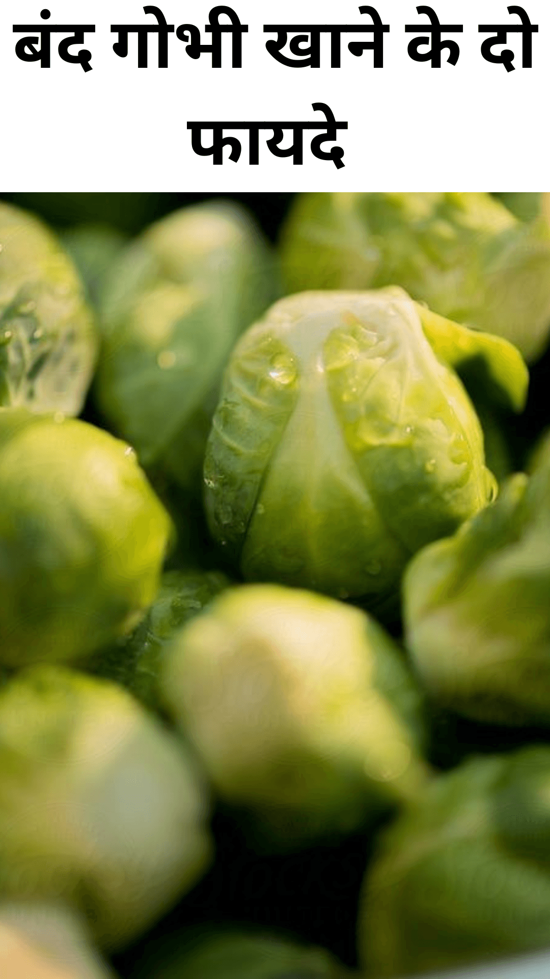 Two benefits of eating cabbage